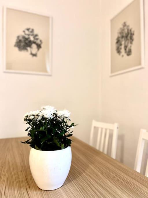 Elegante Appartamento In Centro Milano Dış mekan fotoğraf